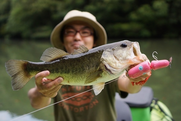 teat ラグーモジョイントチョップ teat ラグーモジョイントチョップ
